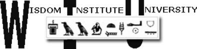 Wisdom Institute logo02